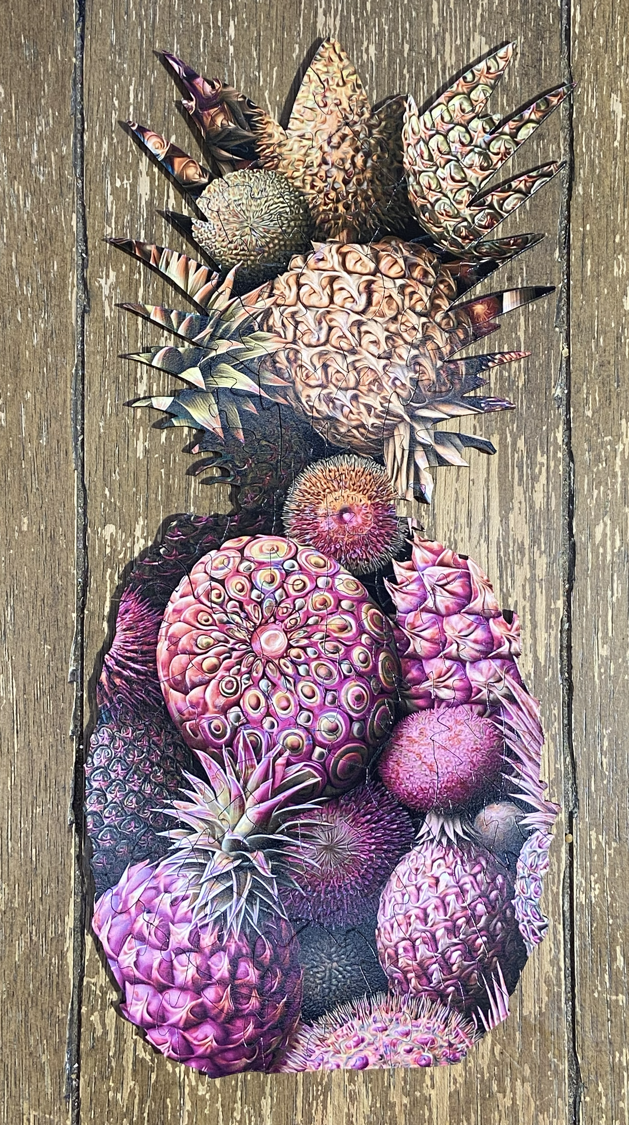Chrome Pina Reversible Puzzle