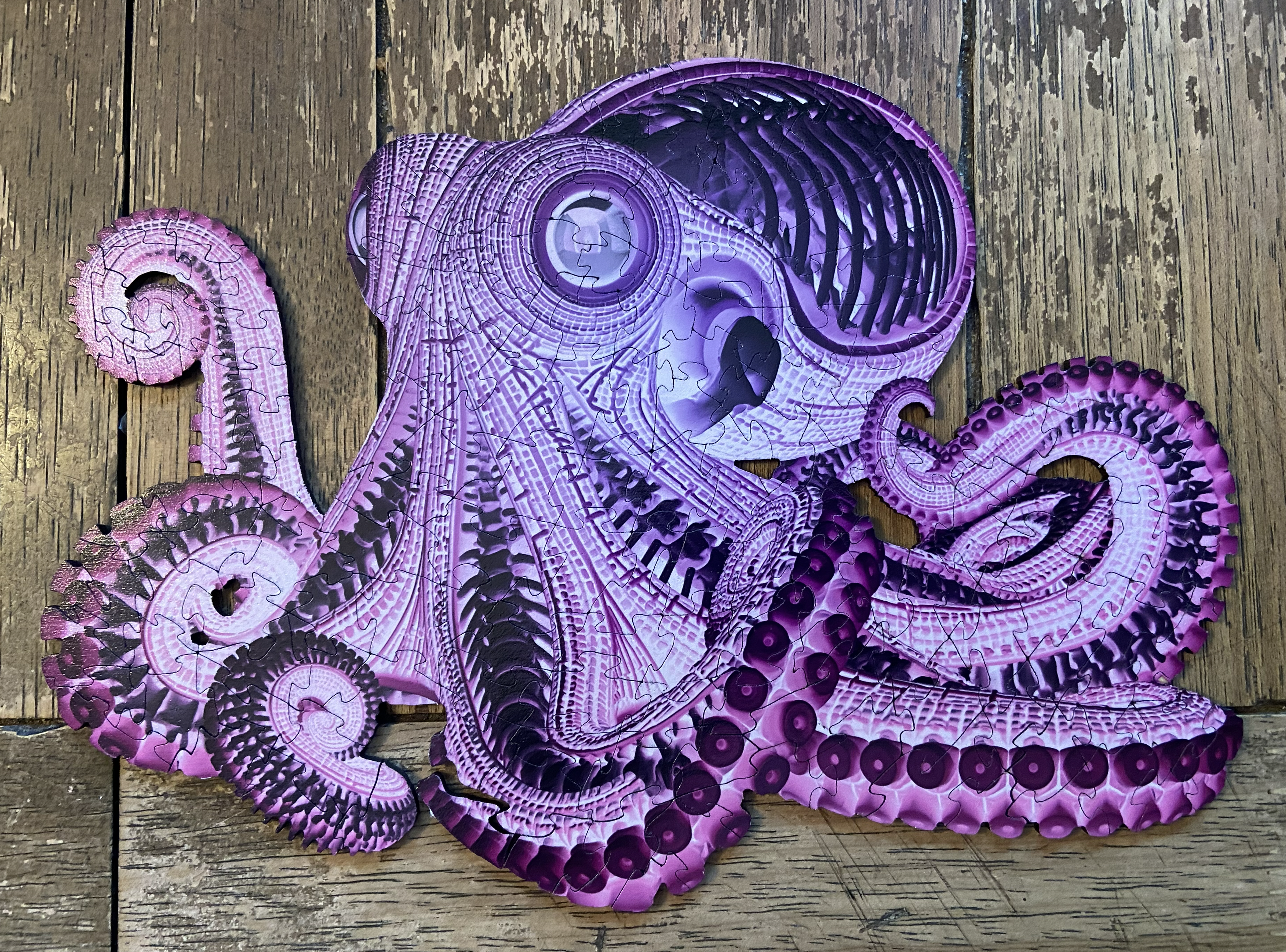 Octobones Wooden Reversible Puzzle
