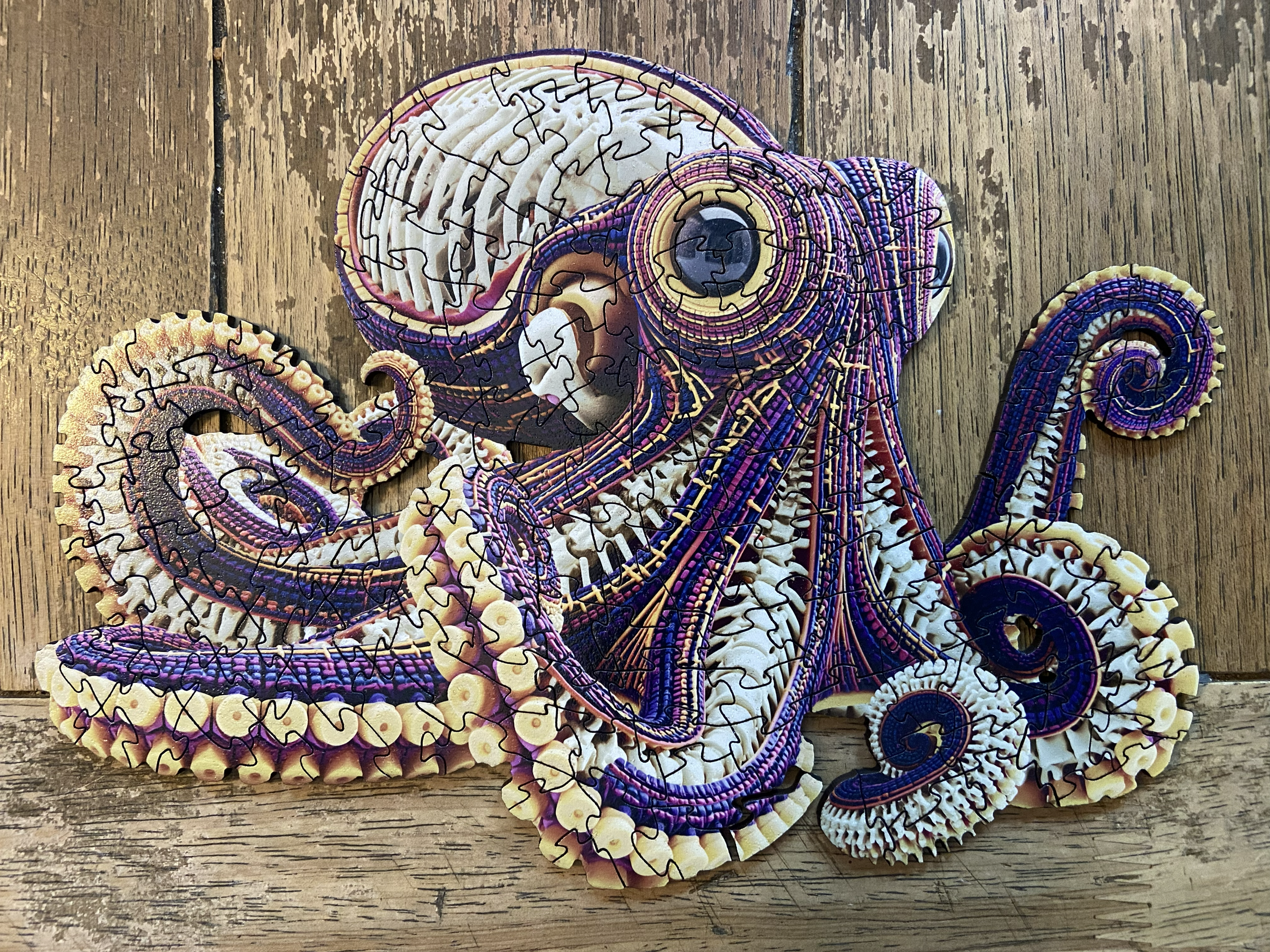 Octobones Wooden Reversible Puzzle